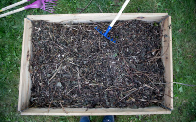 Gartenbegehung