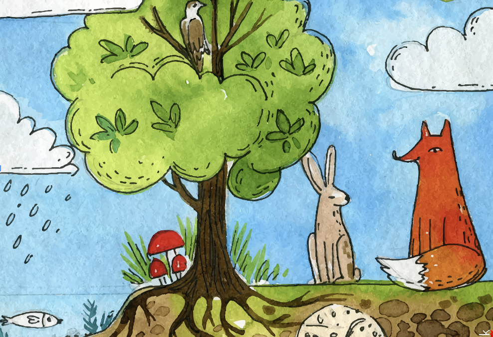 Workshop Natur Rebellen